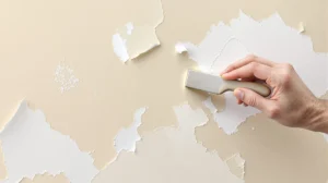 Pourquoi votre peinture s’écaille (et comment y remédier)