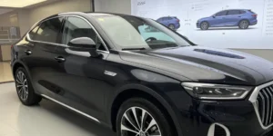 ppf voiture prix